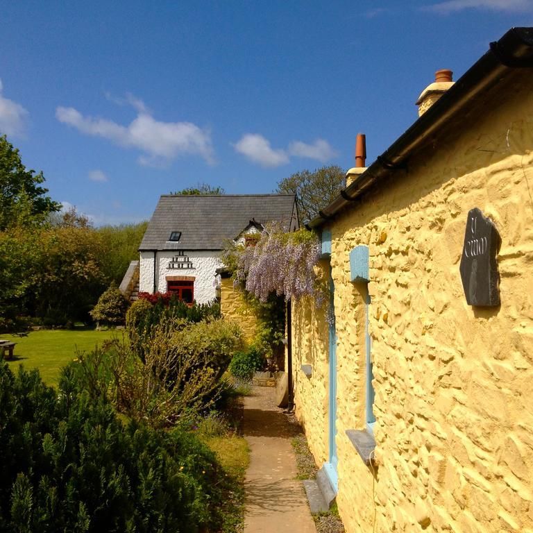 Charming Welsh Cottage Johnston المظهر الخارجي الصورة