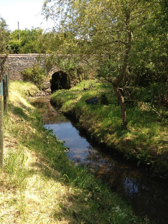 Charming Welsh Cottage Johnston المظهر الخارجي الصورة
