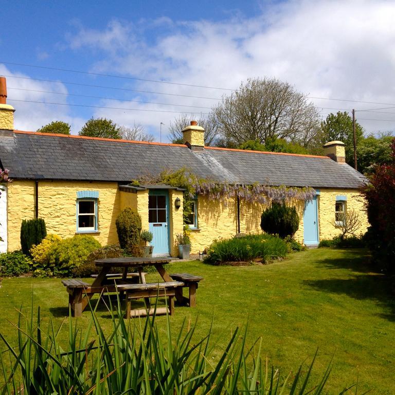 Charming Welsh Cottage Johnston المظهر الخارجي الصورة