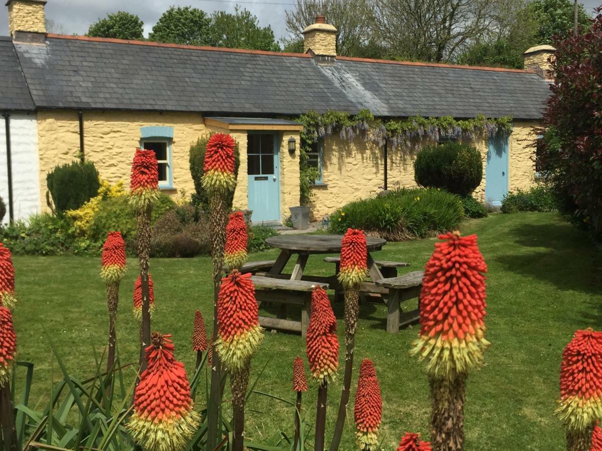 Charming Welsh Cottage Johnston المظهر الخارجي الصورة